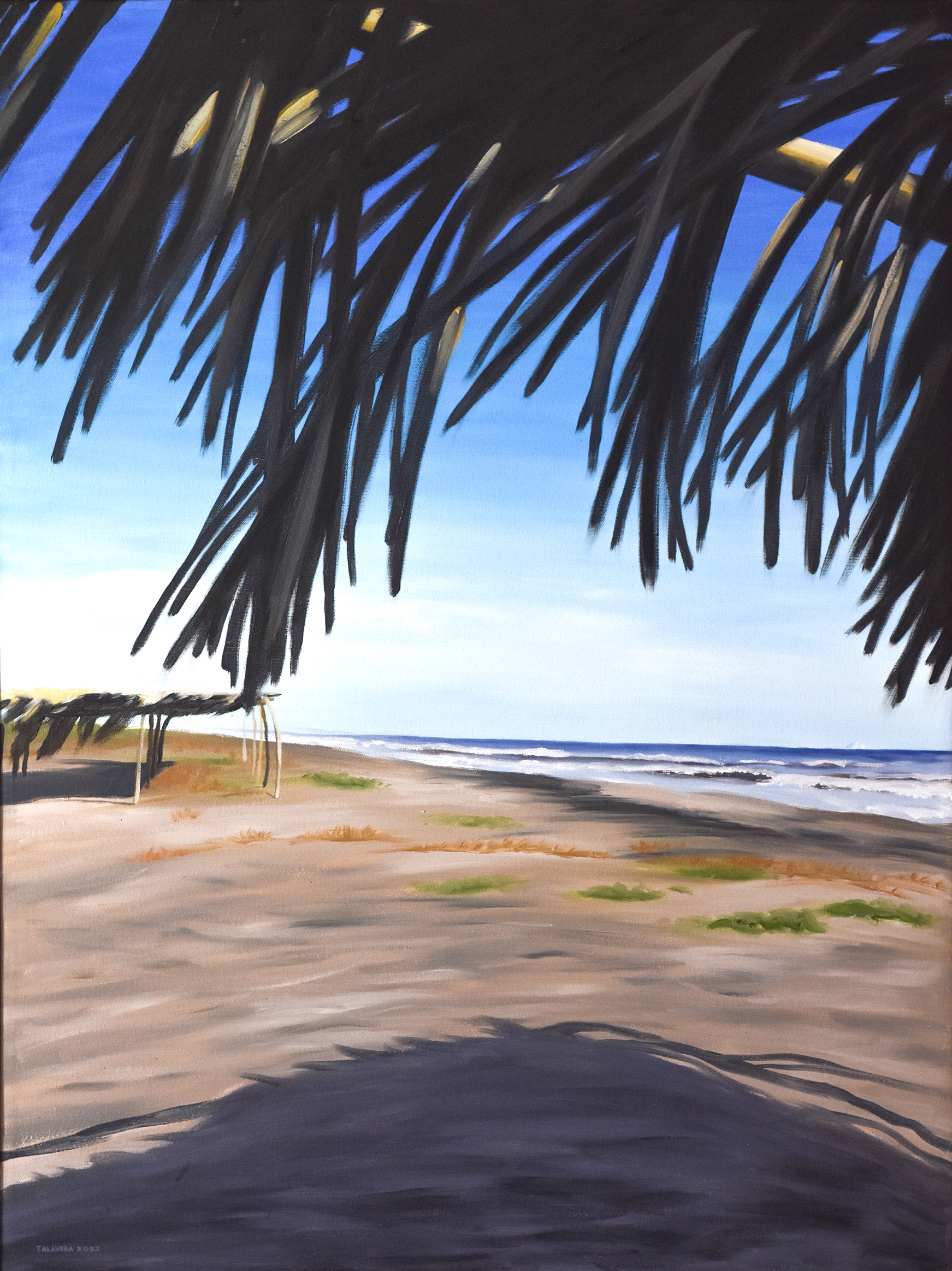 Cuadro de una paisaje de naturaleza de Nayarit